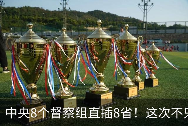 中央8个督察组直插8省！这次不只查几个人，是对这4种严厉查处！