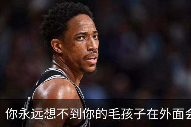 你永远想不到你的毛孩子在外面会被叫什么！网友：坚果被叫建国…