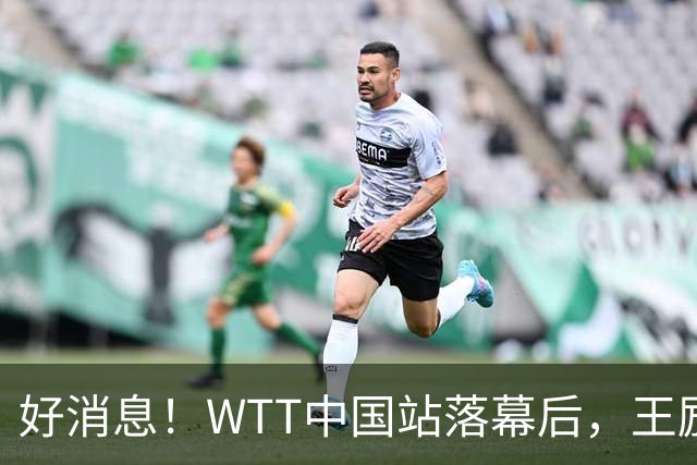 好消息！WTT中国站落幕后，王励勤释放关键信号，樊振东或能回归