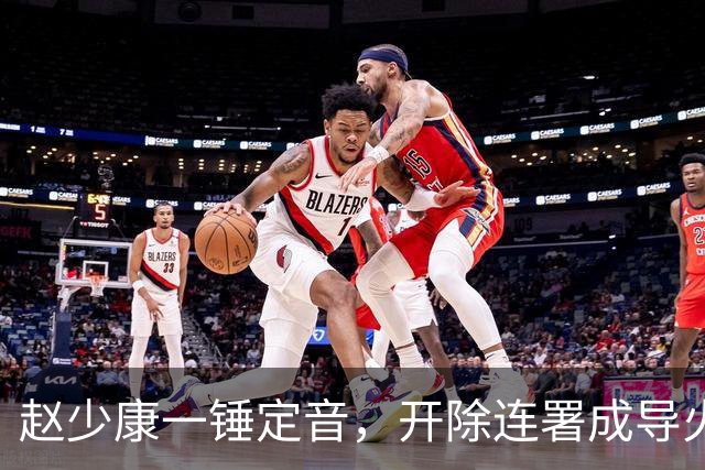 赵少康一锤定音，开除连署成导火索，郑丽文坐不住，谁在踢球？